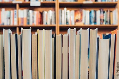 In einer Bibliothek reihen sich B&uuml;cher senkrecht nebeneinander