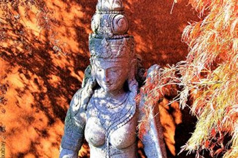 Eine chinesische Statue steht hinter einer Pflanze in der Ecke vor einer sandfarbenen Wand.